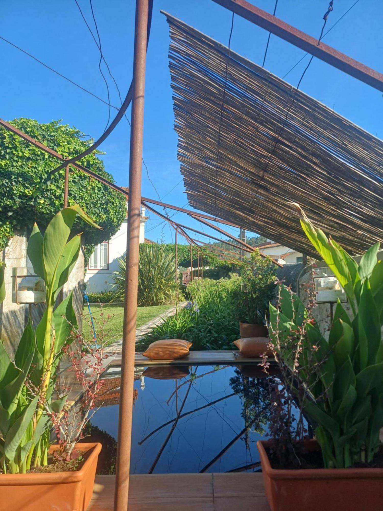 Vila Delfina Lousã Exterior foto